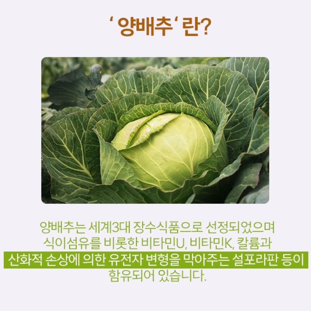 양배추효소 소화효소제 소화효소 60정, 1개 - 상세 이미지 4