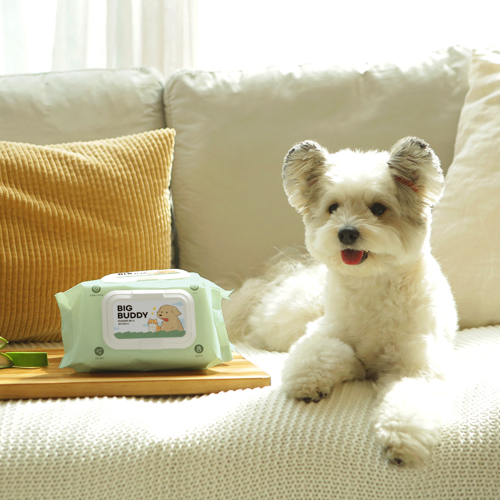 펫케어 강아지 물티슈 고양이 펫 애견 티슈 빅버디 20매 5팩 세트