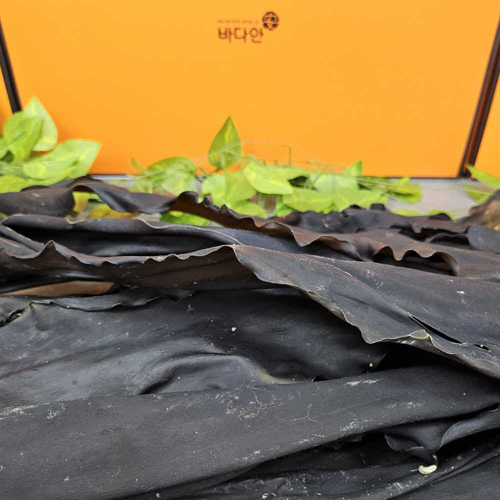 바다안 프리미엄 미역&다시마 100g/200g/500g/1kg 완도산 건미역 건다시마 - 상세 이미지 5