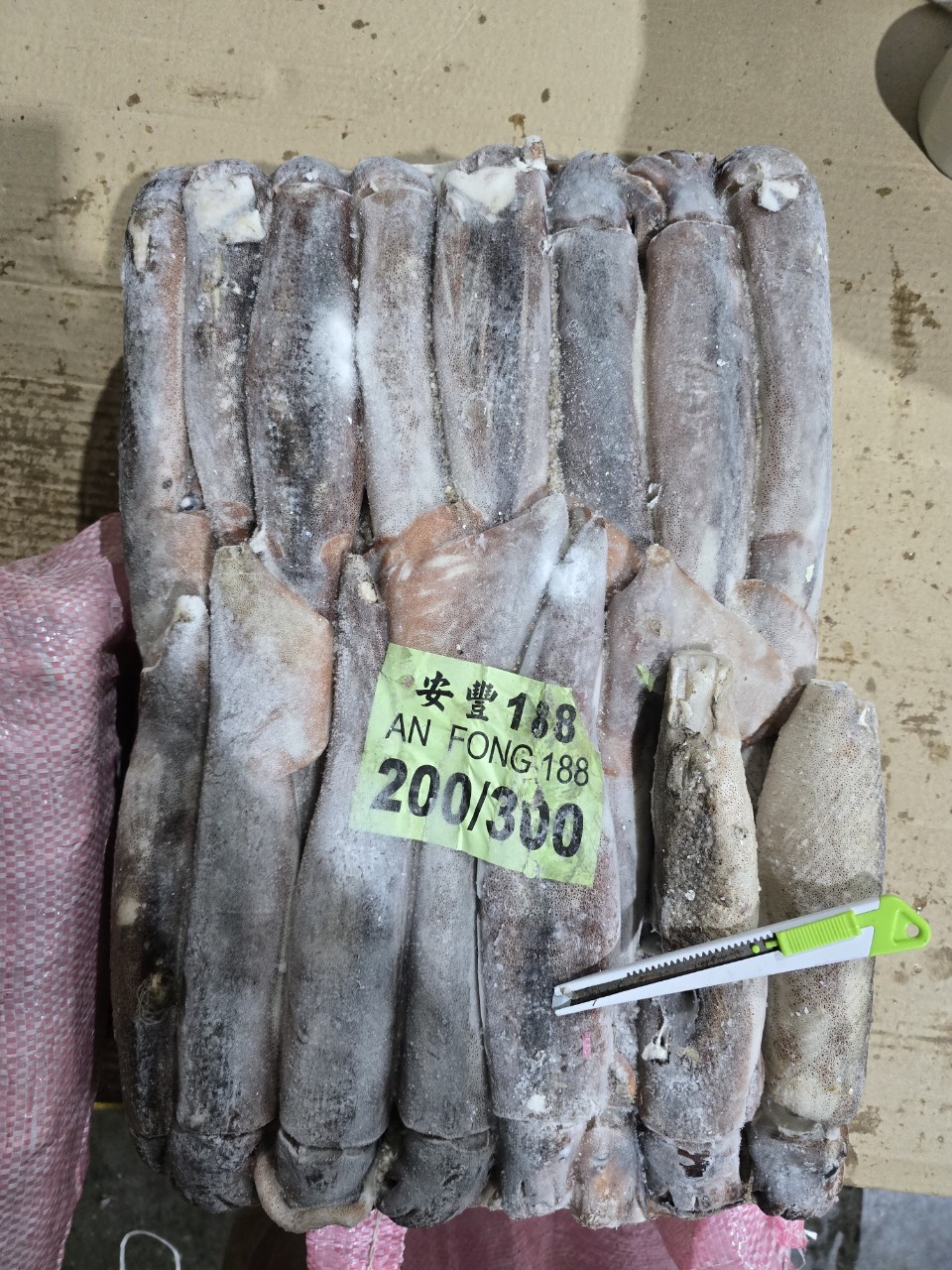 [무료배송] 선동 포크오징어 S 12.3kg,냉동오징어 포크오징어 12.3KG - 상세 이미지 2