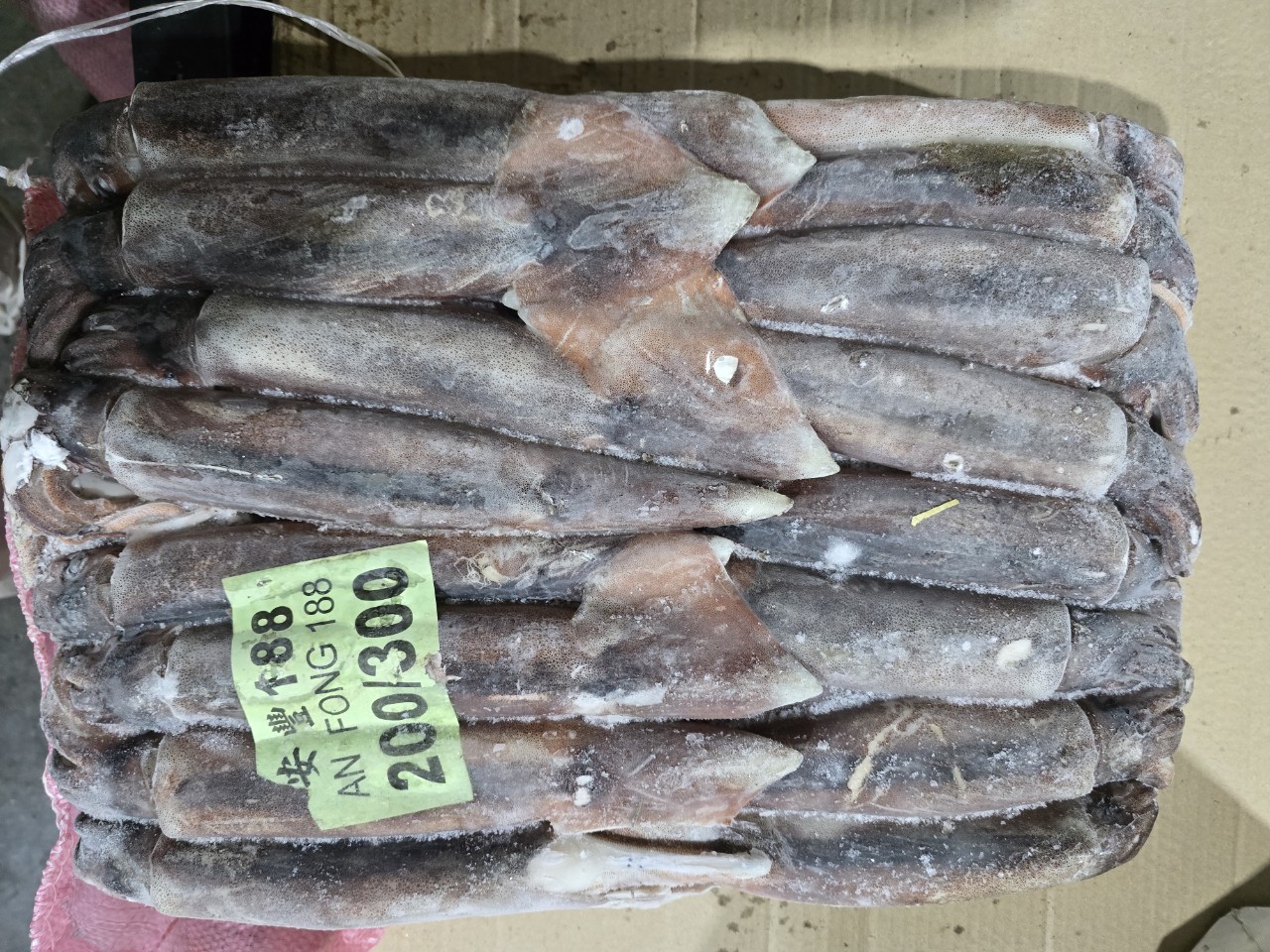 [무료배송] 선동 포크오징어 S 12.3kg,냉동오징어 포크오징어 12.3KG