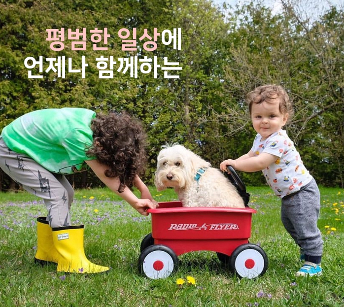 라디오플라이어 미니키즈웨건 푸쉬카 - 상세 이미지 4