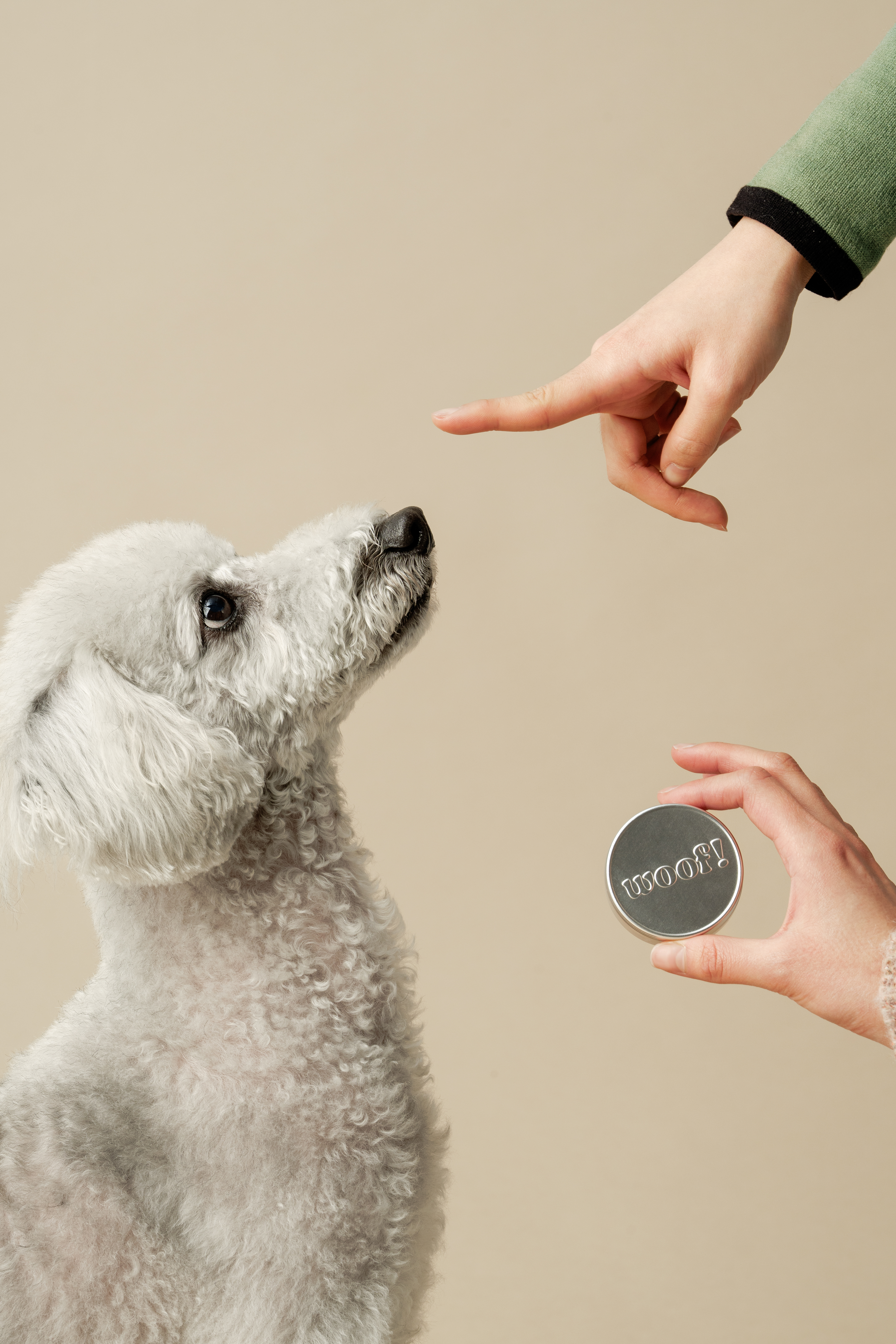 Everything Pet Balm 강아지 보습제 멀티 케어밤 30g, 1개 - 상세 이미지 2