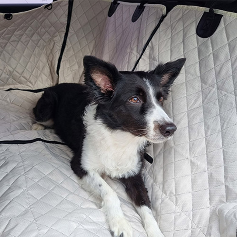 위드레오 애견카시트 대형견카시트 차시트 뒷좌석 풀커버 방수 메쉬창 블랙, XL(특대형)