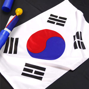 [방수처리] 태극기 100%국산 엉킴방지 대형 가정용 게양용 실사용 후기 | 효과 있을까? - 상품 이미지 1