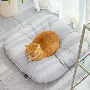 3651 멜티쿠션 고양이 방석 해먹 침대 쿠션 쇼파 솔직 후기 | 실제 사용자 리뷰 총정리 - 상품 이미지 1