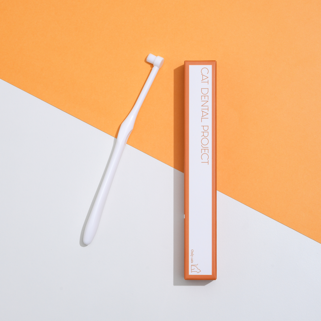 캣디피 덴탈 고양이 칫솔 VER2 초극세사모 고양이전용칫솔 CATDP 양치질 양치 잇몸 입냄새