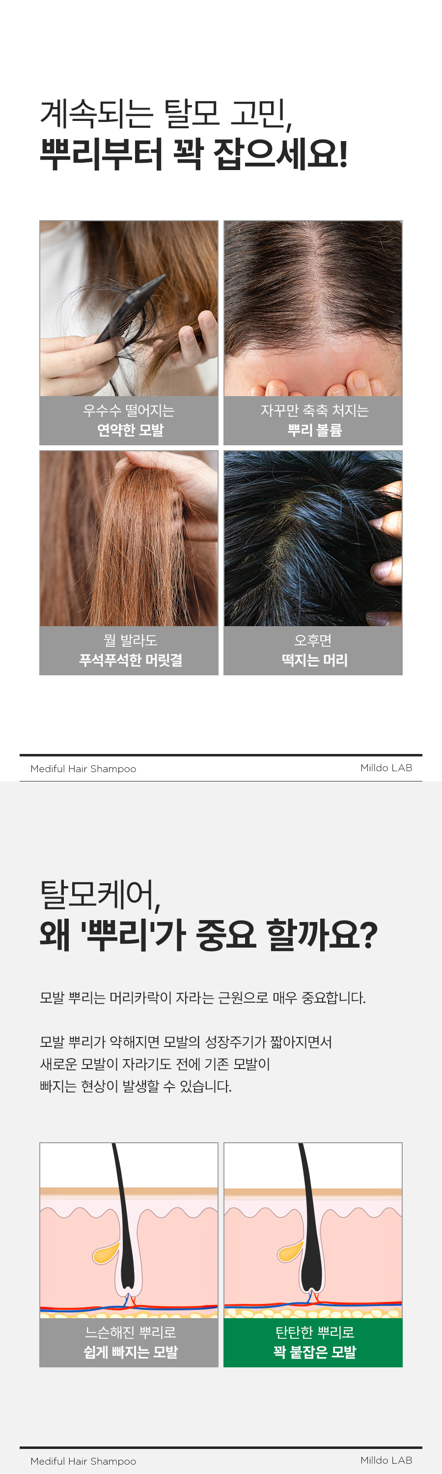 메디풀 헤어 샴푸 310ml 1+1 (2개) 뿌리강화 탈모완화 저자극샴푸 판매처 상세 정보 이미지 2