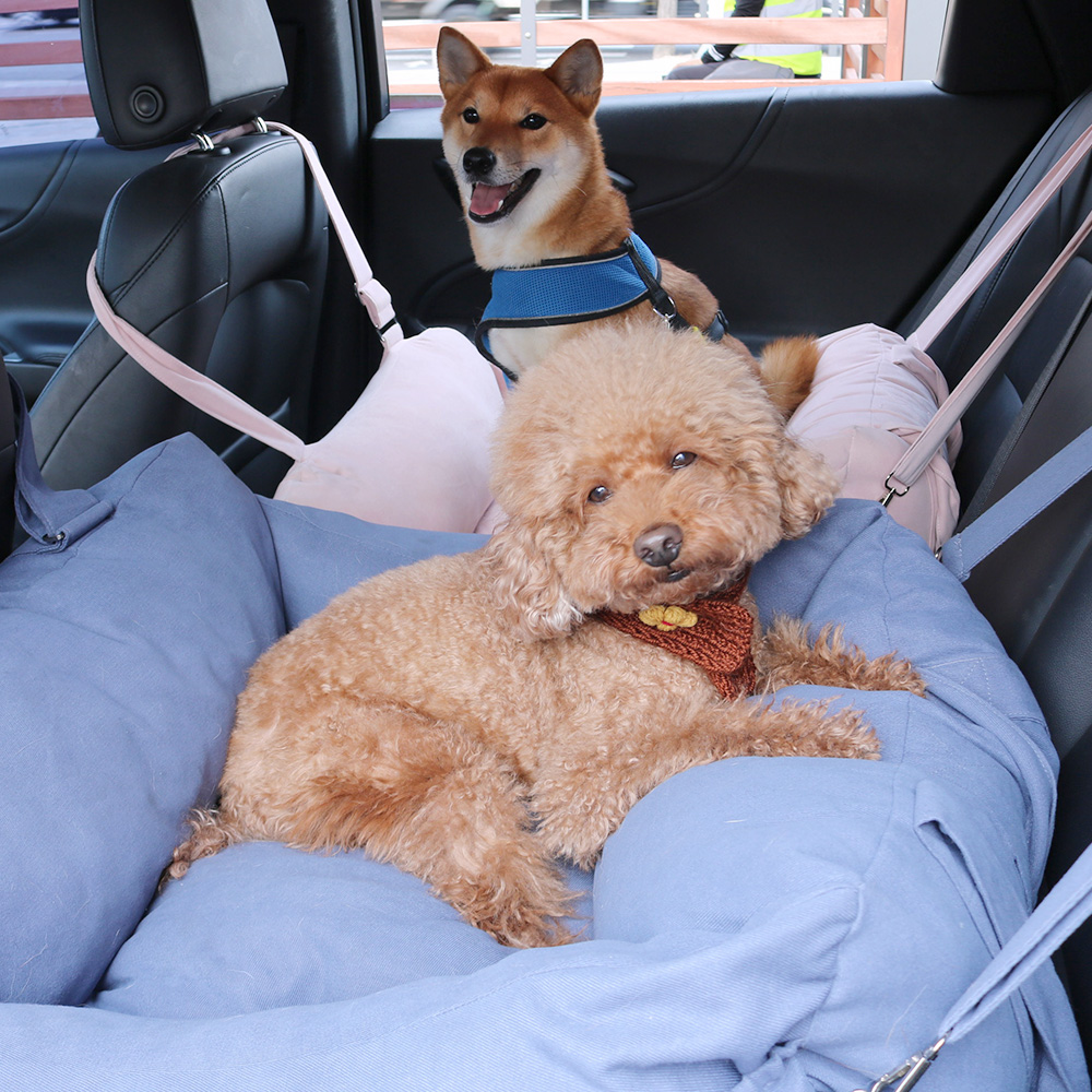 개과천선 하이브 강아지 애견 카시트 드라이빙킷 사계절 고급 차시트