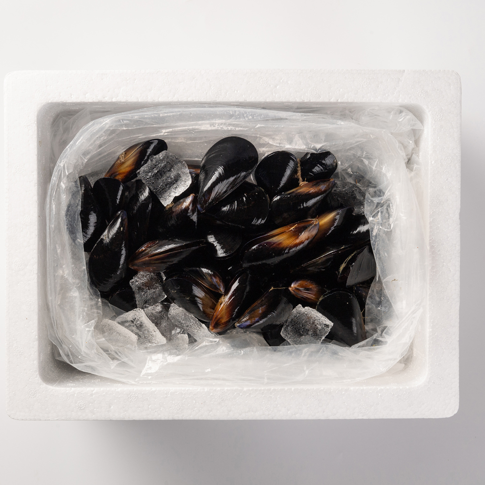 국내산 제철 홍합 2kg 홍합탕 캠핑음식 세척 이미지 7