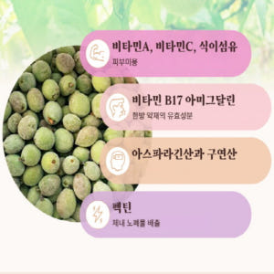 [실속형100포]천수인 야생 개복숭아 생강 도라지농축액 발효 진액 액상스... 맛있게 먹은 솔직 후기 - 상품 이미지 2