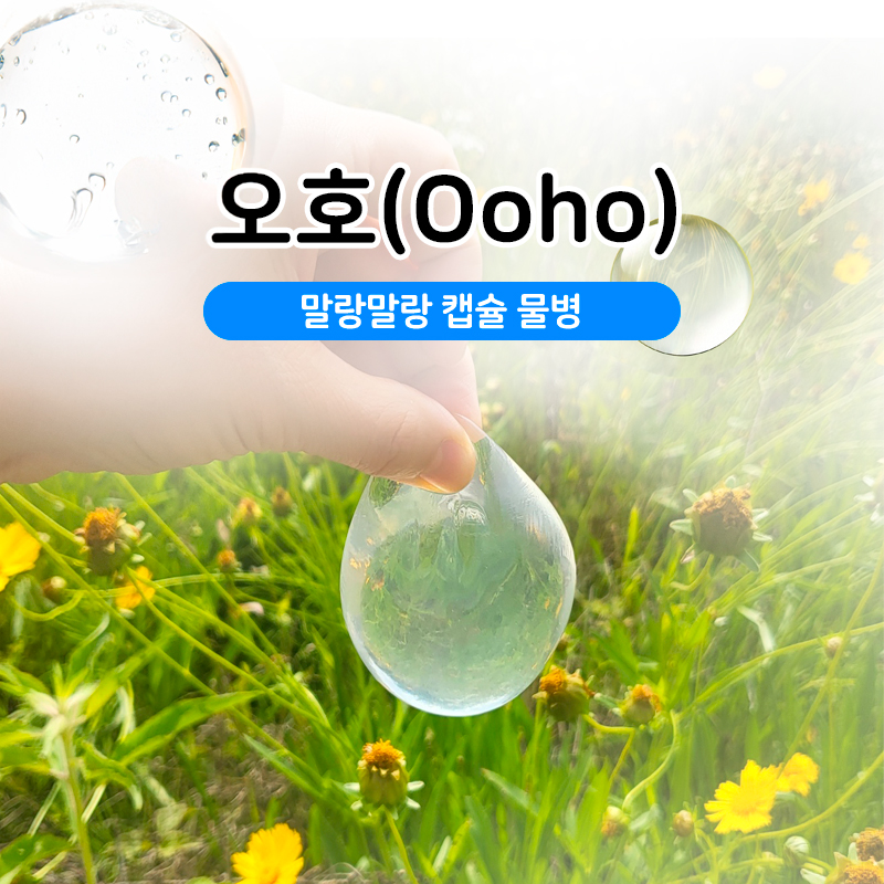 친환경 물병 오호(Ooho) 만들기 키트 과학키트 학습교구 과학실험 상품 이미지