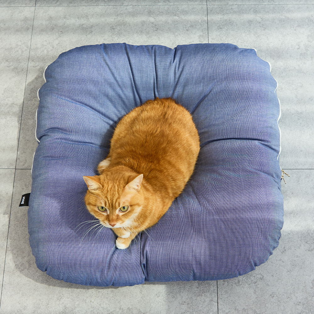 3651 멜티쿠션 고양이 방석 해먹 침대 쿠션 쇼파