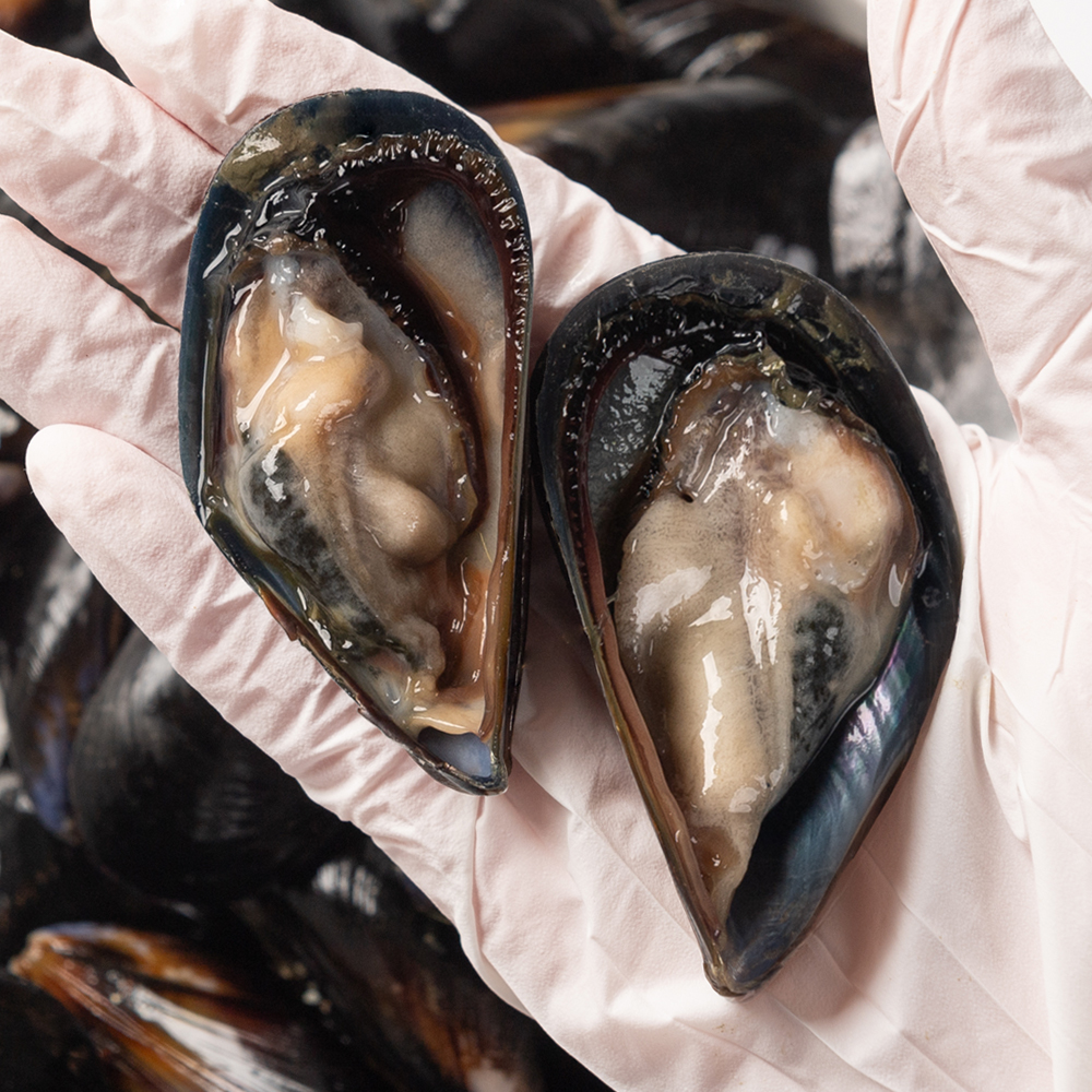 국내산 제철 홍합 2kg 홍합탕 캠핑음식 세척 - 상세 이미지 5