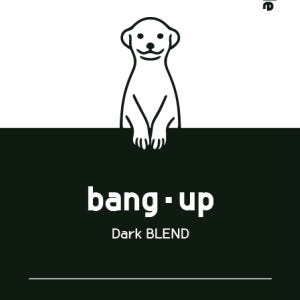업사이드커피| 뱅업(bang.up) 블렌드 1kg(1000g 초과 시 분... 맛있게 먹은 솔직 후기 - 상품 이미지 2
