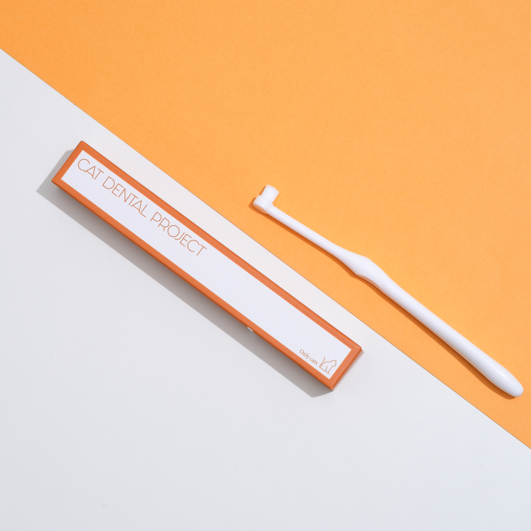 캣디피 덴탈 고양이 칫솔 VER2 초극세사모 고양이전용칫솔 CATDP 양치질 양치 잇몸 입냄새