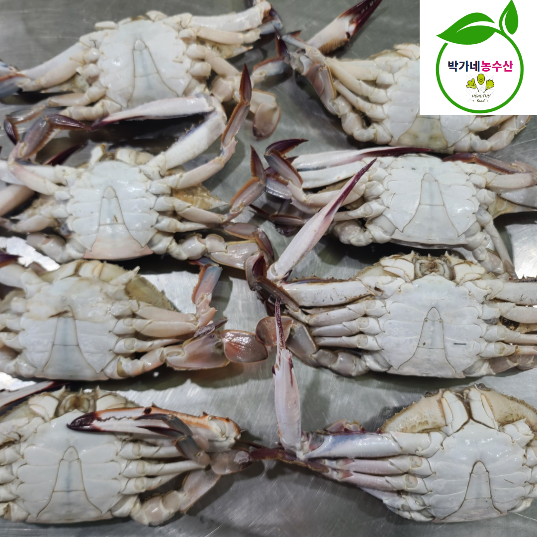 서해안 숫꽃게 암꽃게 1kg 급냉 제철 - 상세 이미지 5