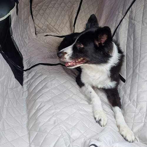 위드레오 애견카시트 대형견카시트 강아지차시트 뒷좌석 풀커버 방수 메쉬창 베이지, XL(특대형)