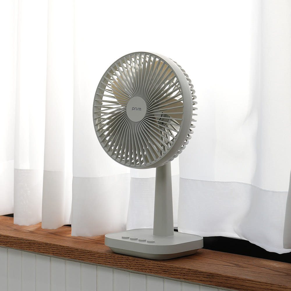 프리즘 D1 무선 캠핑 회전 탁상용 5엽날개 소형 충전식 BLDC 저소음 레트로 선풍기 - 상세 이미지 2