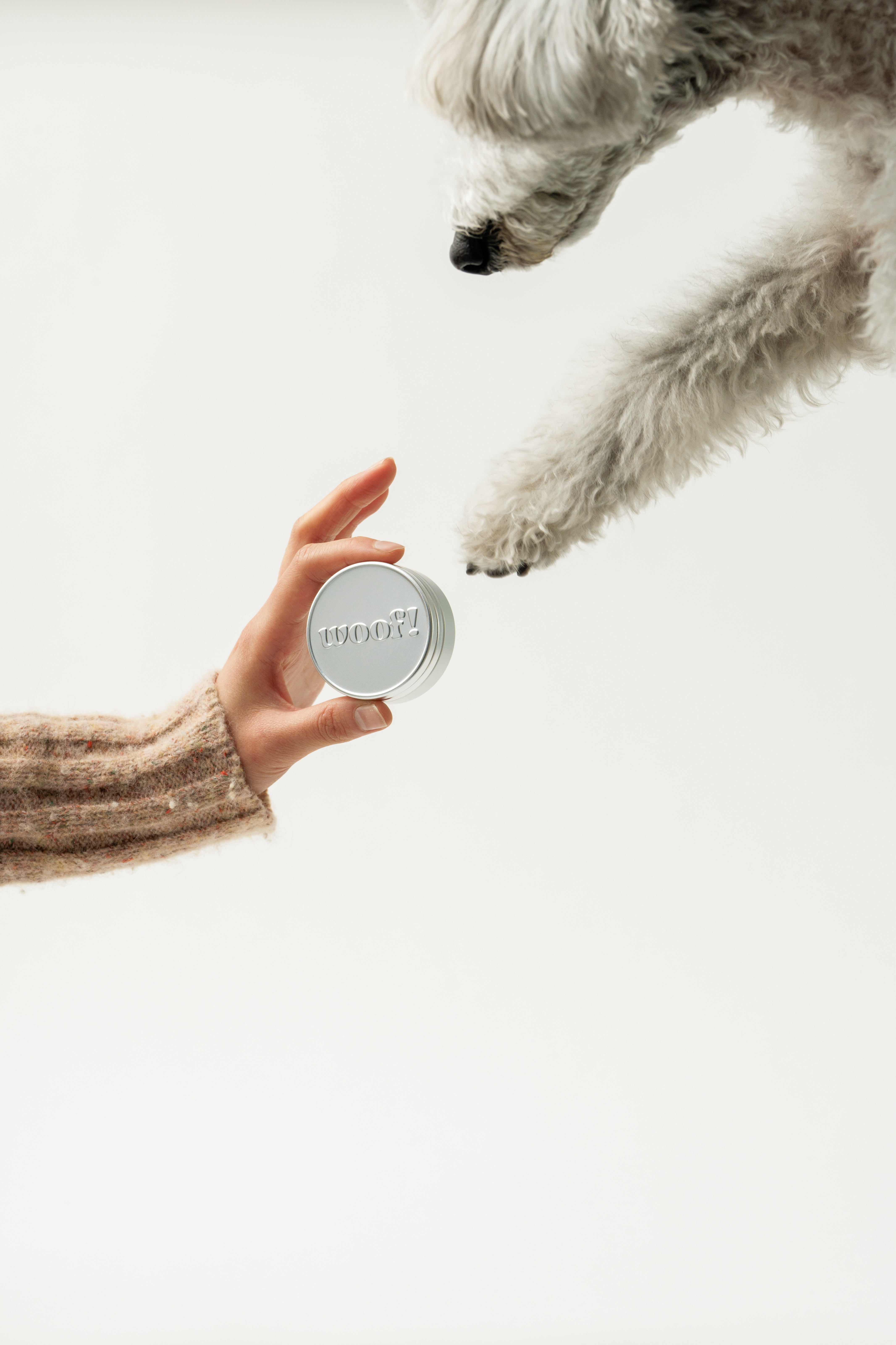 Everything Pet Balm 강아지 보습제 멀티 케어밤 30g, 1개 - 상세 이미지 3
