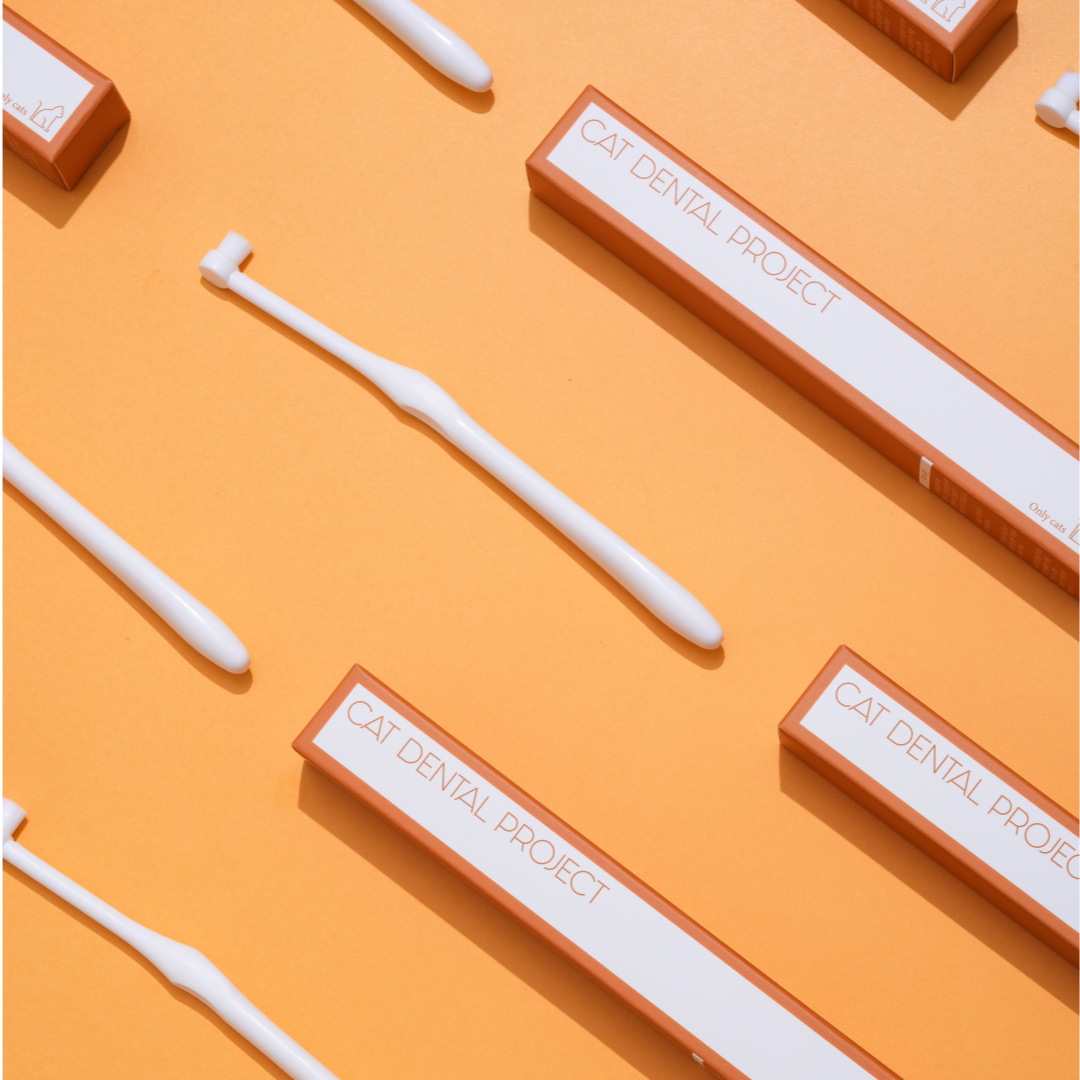 캣디피 덴탈 고양이 칫솔 VER2 초극세사모 고양이전용칫솔 CATDP 양치질 양치 잇몸 입냄새