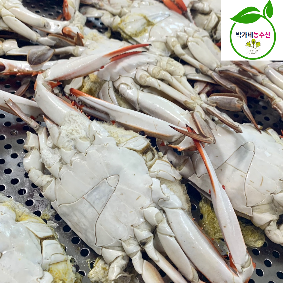 서해안 숫꽃게 암꽃게 1kg 급냉 제철 - 상세 이미지 3