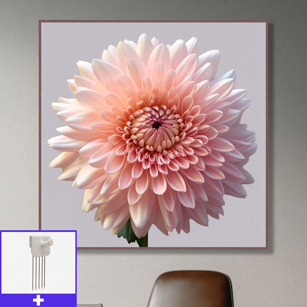 평화 국화 80x80 무광체리 알루미늄액자 국화그림 매난국죽 - 메인 이미지