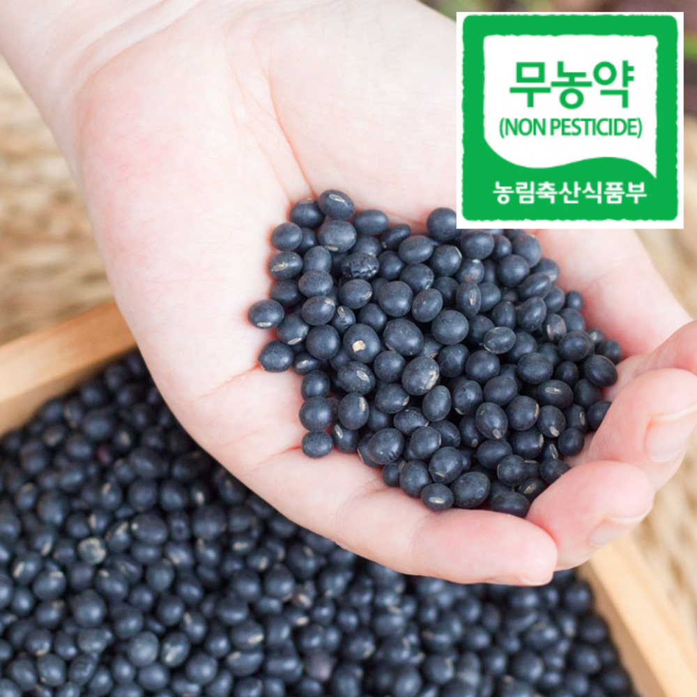 국산 쥐눈이콩 약콩 무농약 서목태 효능 검정콩 - 메인 이미지