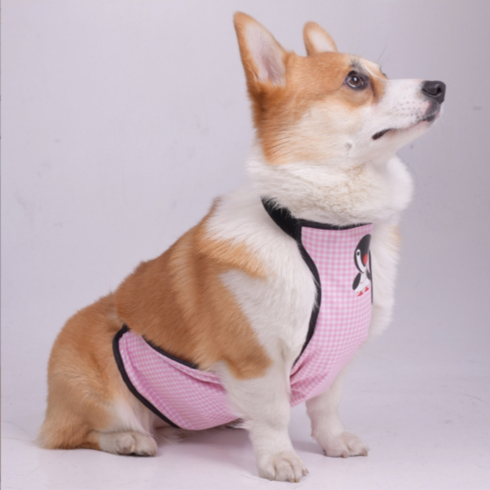 위드레오 강아지배가리개 앞치마 방수커버 웰시코기 닥스훈트 XS