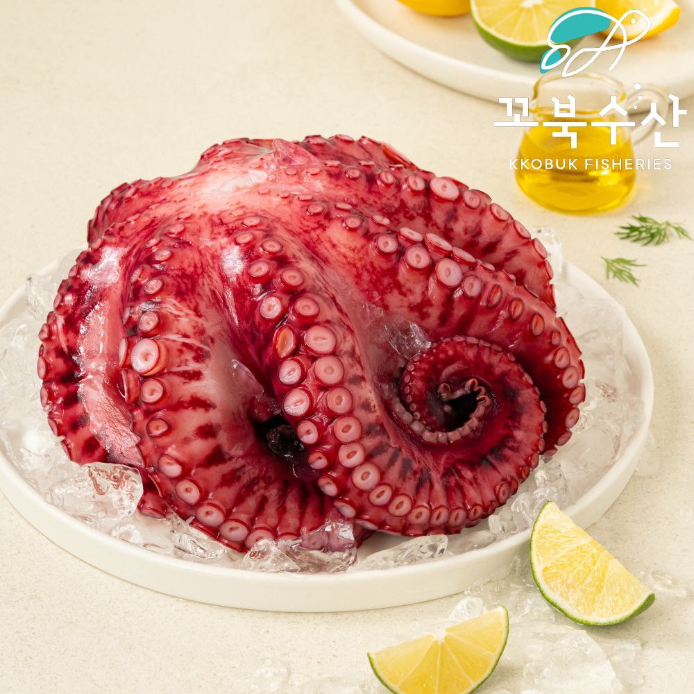 냉동 자숙문어 1마리 (1.2-1.5kg) 삶은 제수용 라운드