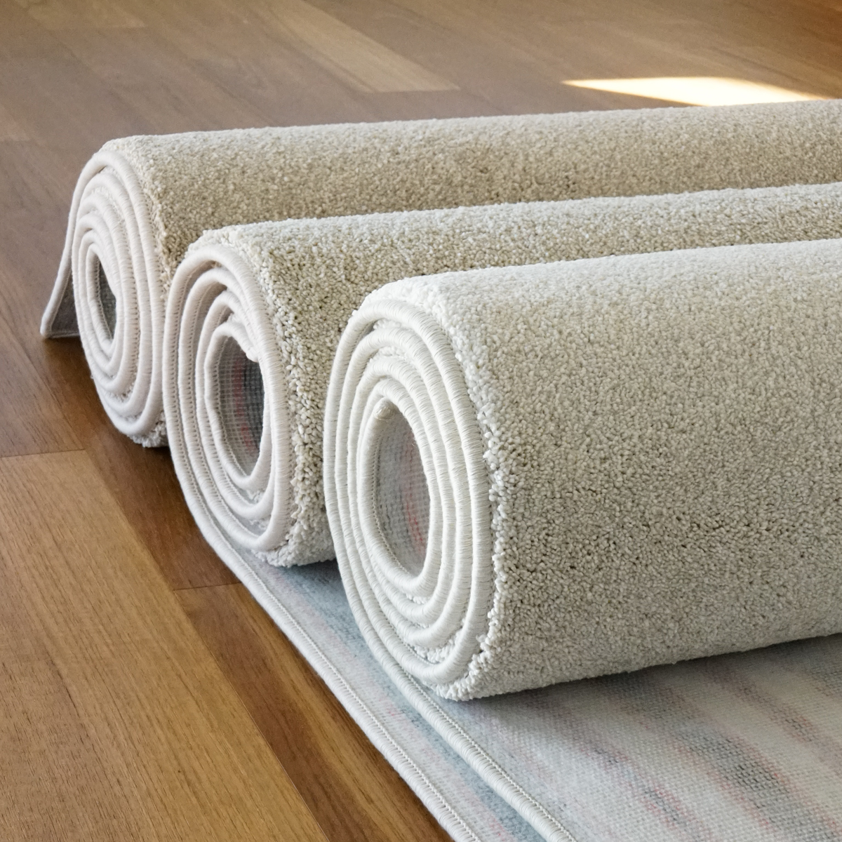 벨기에 AW 수입카페트 비바 단모 사계절 고급 거실러그 4색상 맞춤가능 150X200