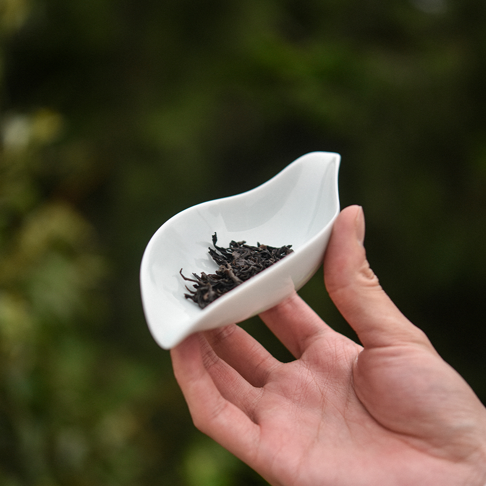 [찻잎그릇] 심플 나뭇잎 백자 다하 차하