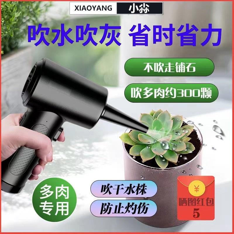 가정용 에어건 드라이어 먼지 제거 블로워 미니 송풍기 8000ma - 상세 이미지 2