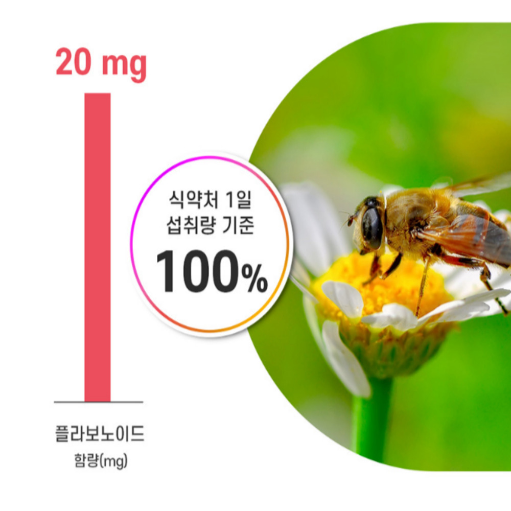 [2+1]캐나다 인사덴티 케어 플러스 6개월분 이미지 6