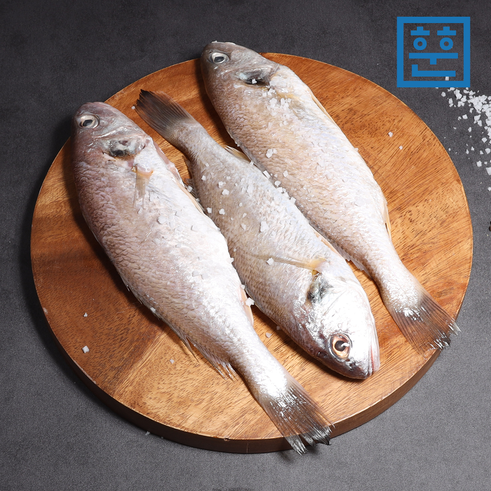 훈훈수산 제주 백조기 한림수협 백조기 국내산 조림용 구이용 개별포장 - 상세 이미지 2
