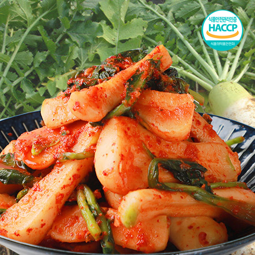 [국내산] 알타리 총각김치 전라도식 무김치 5kg, 1개