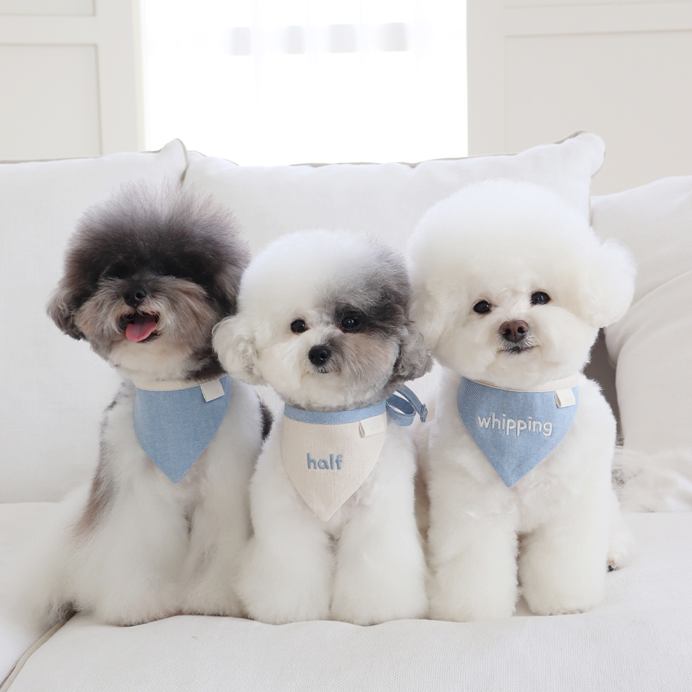 쉬오트 투유 네이밍 빕 스카프 케이프 (2color)