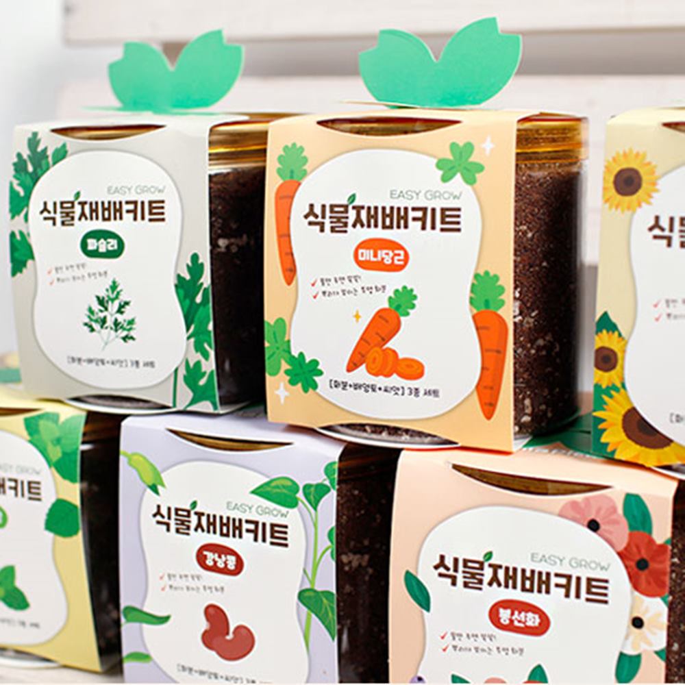 식목일 식물재배키트 씨앗 - 상세 이미지 2