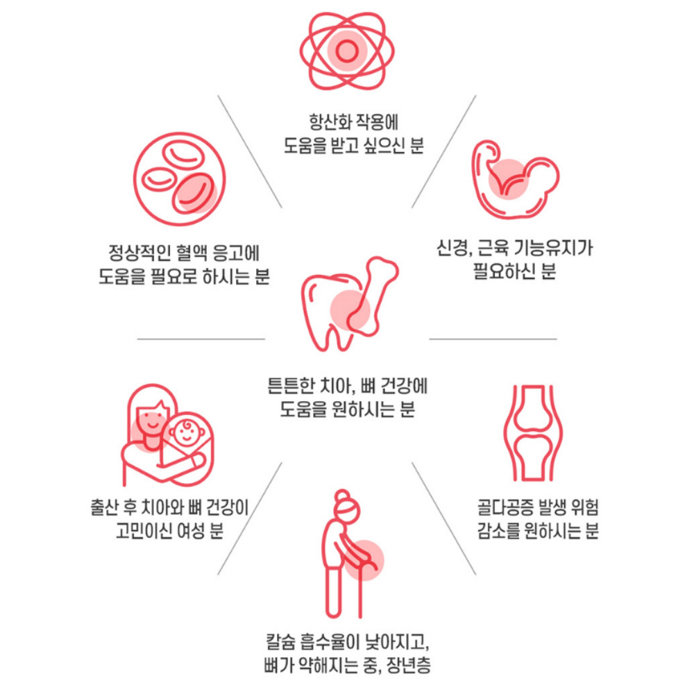 [2+1]캐나다 인사덴티 케어 플러스 6개월분 - 상세 이미지 4
