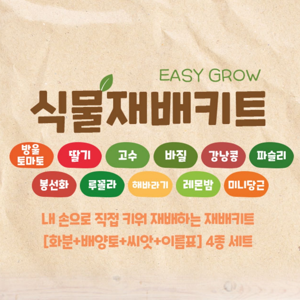 식목일키트 어린이집식목일 반려식물 씨앗 키우기 - 상세 이미지 3
