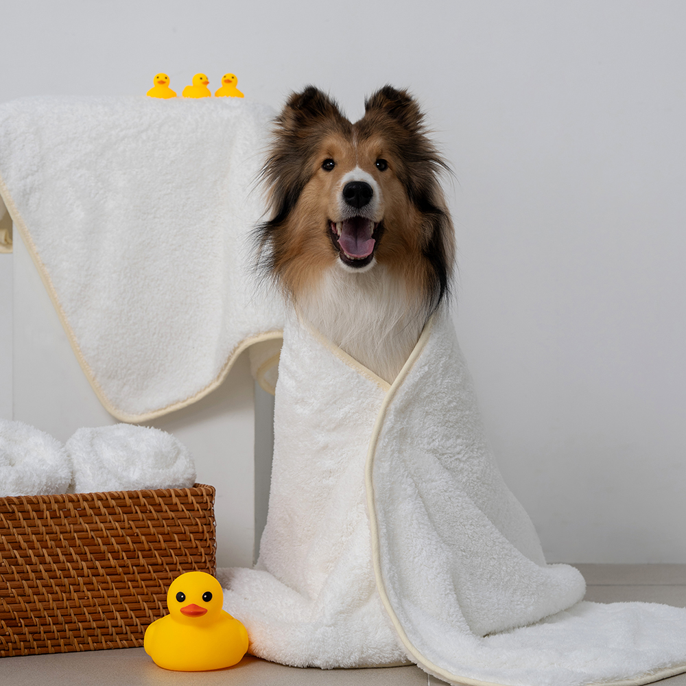 강아지 고양이 애견 극세사 펫타올 강아지수건 목욕 자이언트 M - 상세 이미지 3