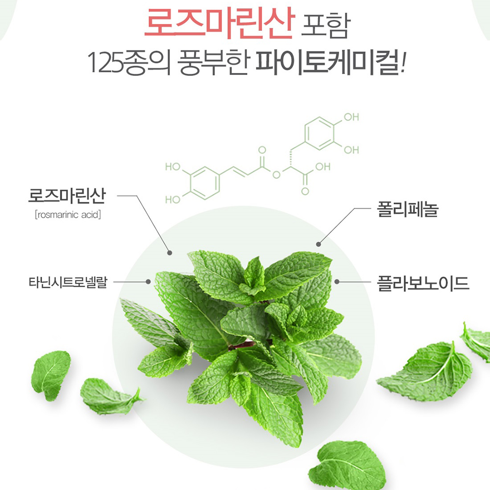레몬밤 추출 분말 가루 정 알약형 레몬밥 고농축 로즈마린산진액 효능 - 상세 이미지 4