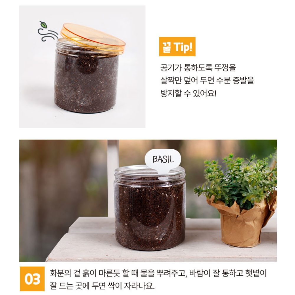 식목일키트 어린이집식목일 반려식물 씨앗 키우기 이미지 8