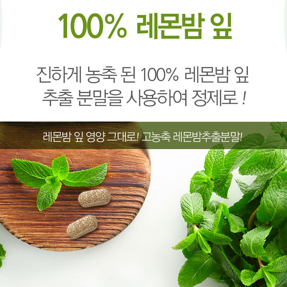 레몬밤 추출 분말 가루 정 알약형 레몬밥 고농축 로즈마린산진액 효능 - 상세 이미지 3