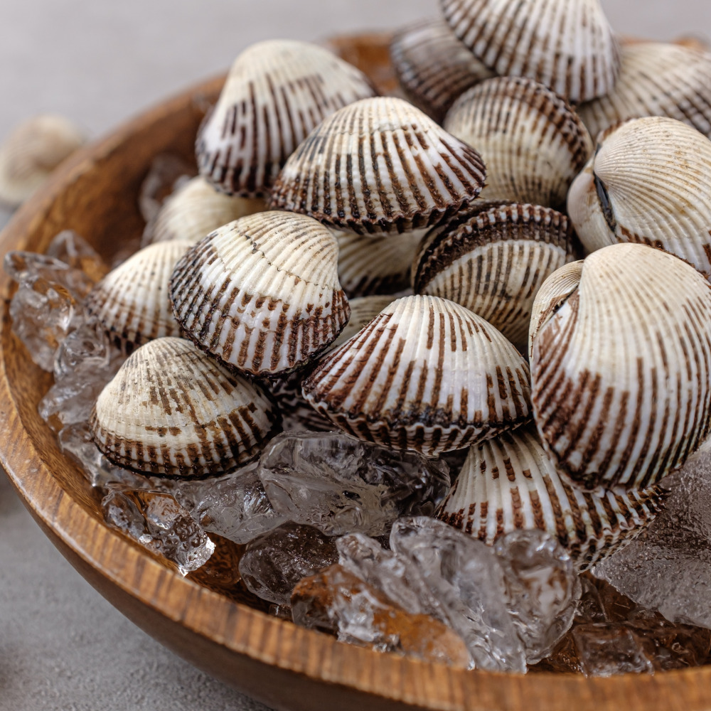 벌교 꼬막 1kg 당일채취 제철 새꼬막