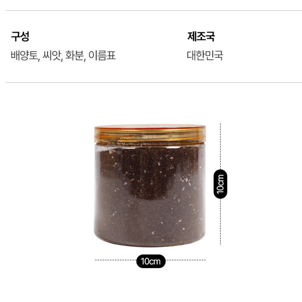 식목일키트 어린이집식목일 반려식물 씨앗 키우기 - 상세 이미지 5