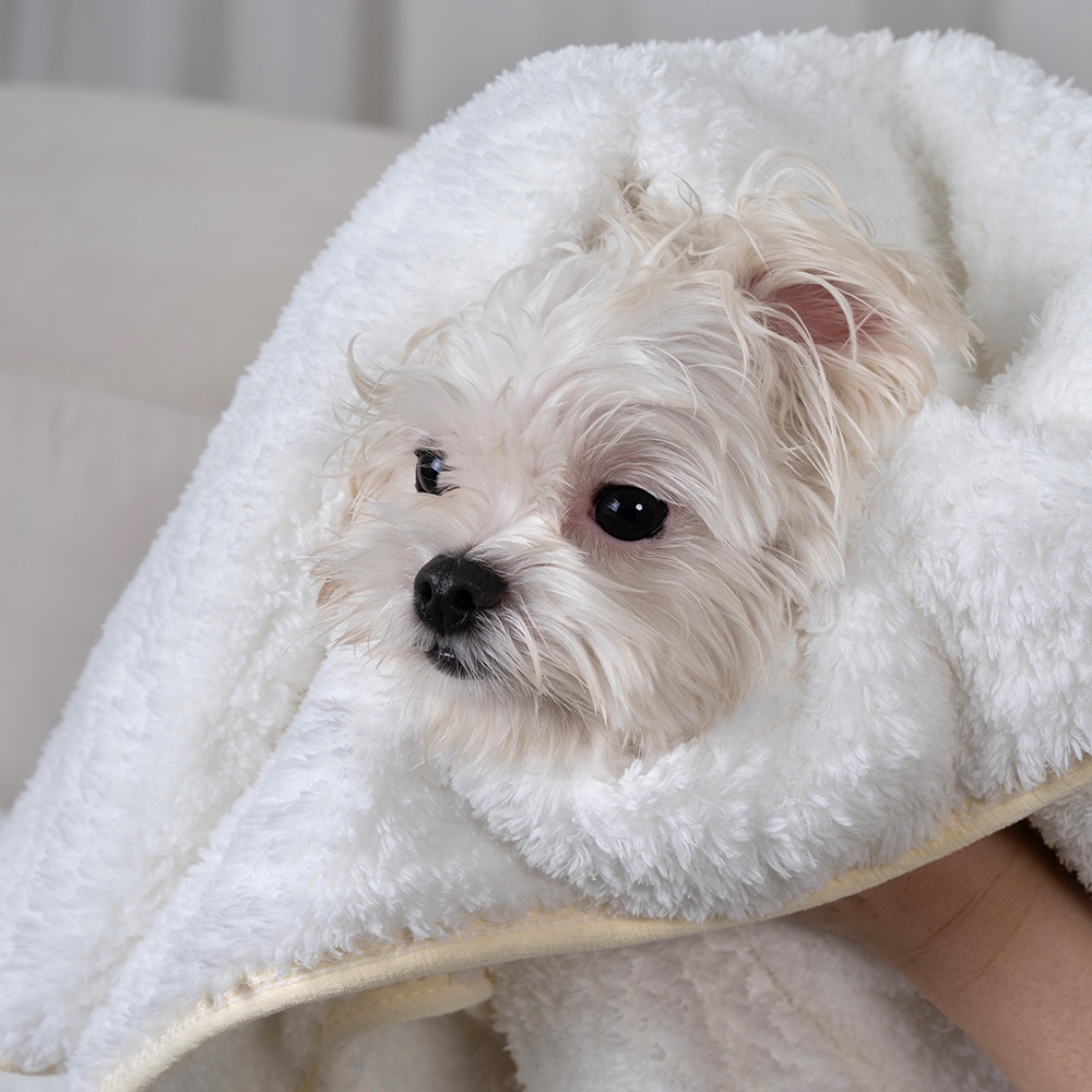 강아지 고양이 애견 극세사 펫타올 강아지수건 목욕 자이언트 M 이미지 7