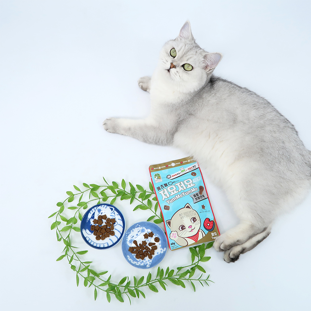 캐츠랑 저요저요 고양이 간식 이빨과자 참치, 60g, 1개
