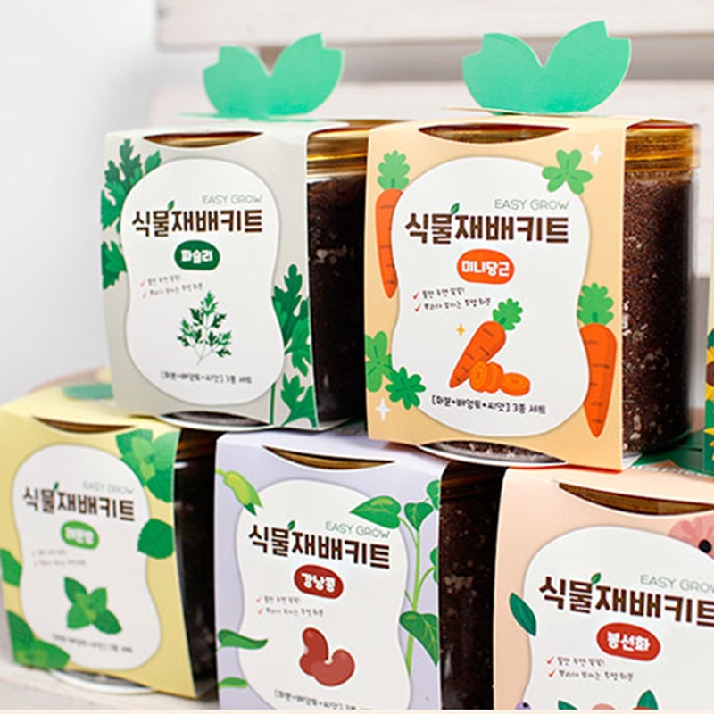 식목일키트 어린이집 식목일 행사 씨앗 키우기 딸기 고수 루꼴라 봄당근 이미지 7