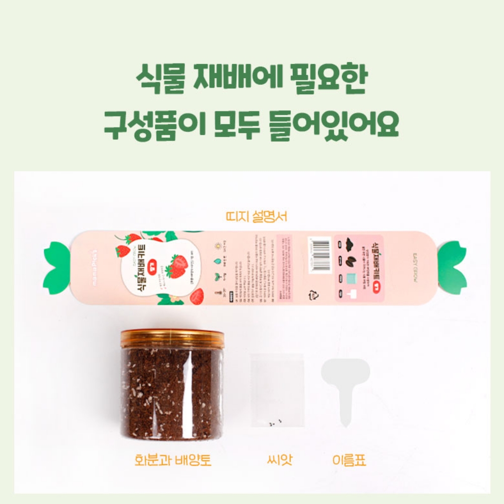 식목일키트 어린이집식목일 반려식물 씨앗 키우기 - 상세 이미지 4